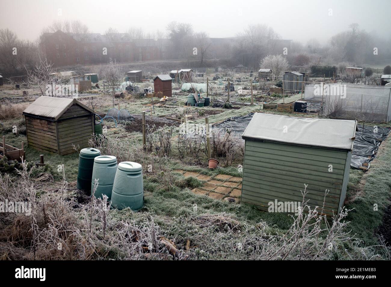 Schrebergärten an einem frostigen Wintertag, Warwick,`s Stockfoto